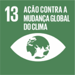 13 - AÇÃO CONTRA A MUDANÇA GLOBAL DO CLIMA